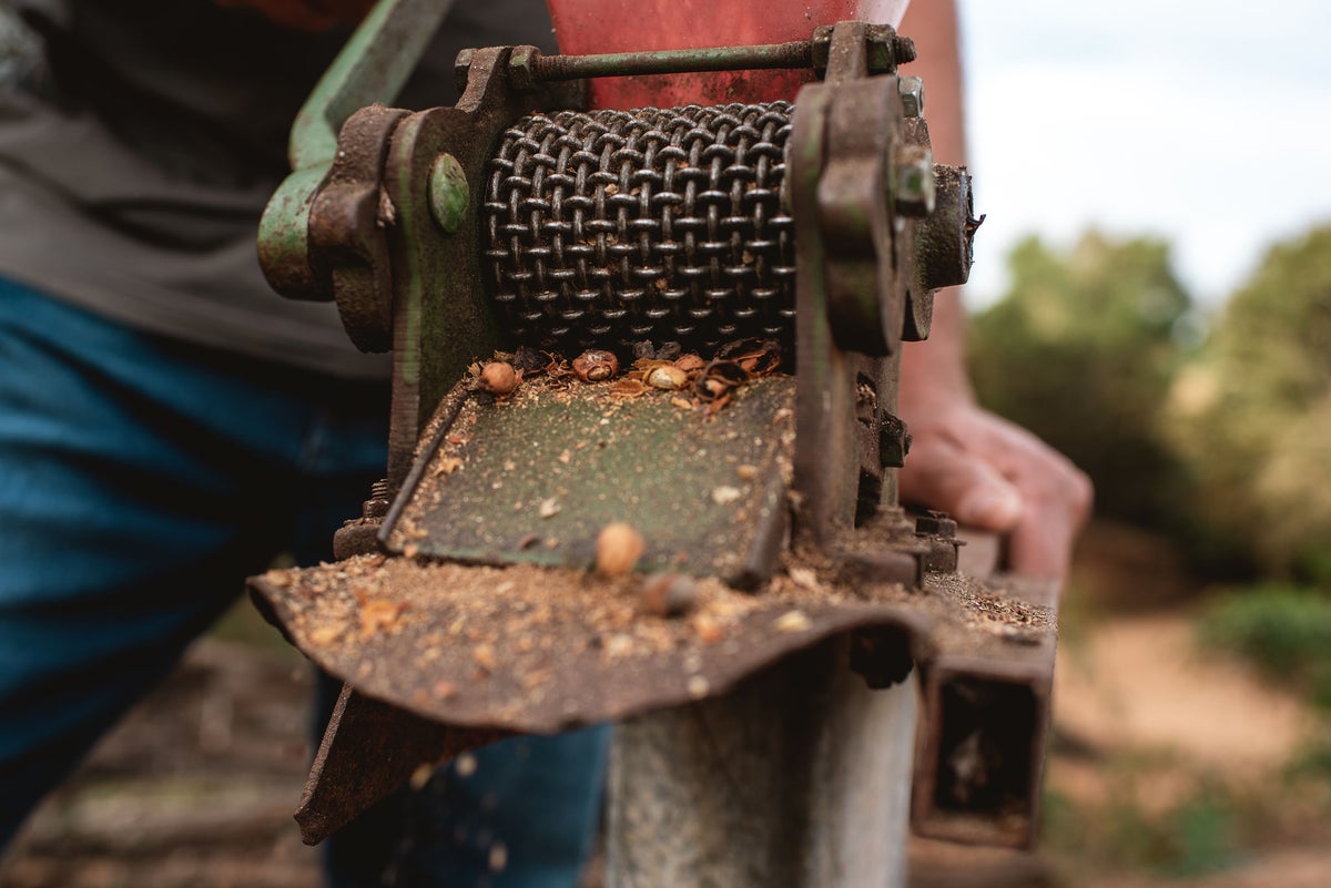 150 Jahre Melitta Bentz