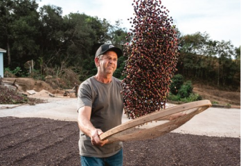 Kaffeefarmer schwingt Kaffeebohnen in Brasilien